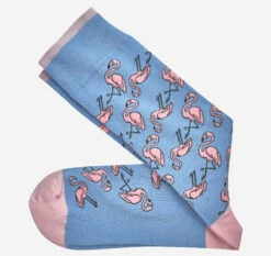 Novelty Socks - 04430176